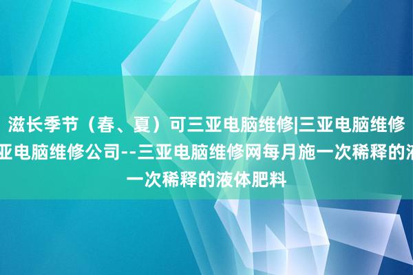 滋长季节（春、夏）可三亚电脑维修|三亚电脑维修电话|三亚电脑维修公司--三亚电脑维修网每月施一次稀释的液体肥料